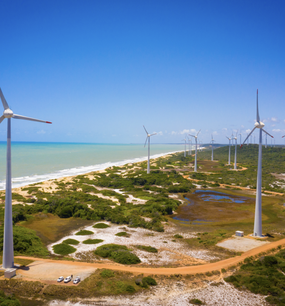 Parque eólico Vale dos Ventos, na praia, com vários moinhos e céu azul